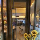 도그 어바웃 | 다대포 애견카페 [도그어바웃DogAbout] 후기!