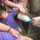 서윤목장 이미지