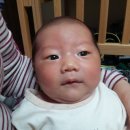 영등포구 영등포본동주민센터 이미지