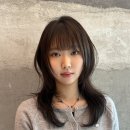 동명헤어라인