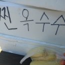 동강수산장어 이미지