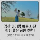 1-1호 어린이공원 | 경산 아기랑 예쁜 사진 찍기 좋은 공원 추천! (벚꽃 스팟 아니어도 예쁨♡) 경산 제 1호 어린이 공원