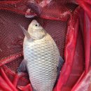 힐링낚시터 이미지