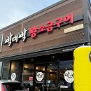 초곡 | 포항 초곡 삼겹살 맛집 박대박왕소금구이 포항초곡점 솔직후기