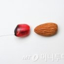 벨톤보청기충주지사 이미지