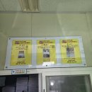 행복도너츠 | #58 연짱의 먹으러 간 파주편, 조은도너츠 예약 방법! B세트 15,000원의 도너츠 행복, 구성 실물 후기