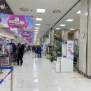주식회사 뉴질랜드 동래롯데마트점 | 뉴질랜드1642 롯데 동래점 로열 젤리, 프로폴리스 구매후기