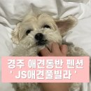 JS당구장 | 경주 애견동반 펜션 &#39; JS애견풀빌라 &#39;