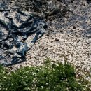 풍경쉼터 이미지