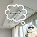 에스지클린