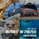 (주)여행마루 | 사천 실내 가볼만한곳 아라마루 아쿠아리움 100% 즐기기 내돈내산 후기