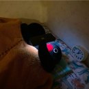 으뜸맥한의원 | 일상 조각조각 🧩