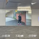 상봉그린한의원 | 푸마 디비에이트 나이트로3 리뷰(40km) *사이즈tip