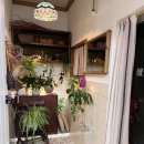 스테이우드 | 강릉) 4개월 아이와 감성숙소 스테이우드 에어비앤비 내돈내산 추천 후기