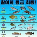 물회&막회 이미지
