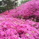 도장중 앞 이미지