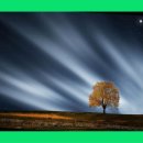 초지1로1 이미지