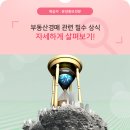 부동산정보와 경매 이미지