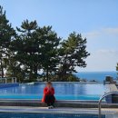 사온누리 | 제주 서귀포 숙소 담앤루리조트 누리1 수영장 조식 내돈내산 가족 여행 후기