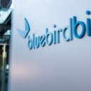 블루버드 이미지