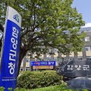 빛+물+바람+흙 함양 항노화 싹틔우기 이미지