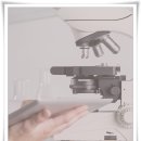 메디칸(주) 이미지