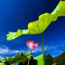 (유)대금 이미지