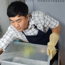 제일밝은세탁 이미지