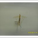 지보고등학교 이미지