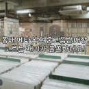 홍대 메타복스, 골라보는 매력이 넘쳐나는 중고음반매장!
