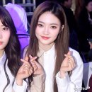 주은콜렉션 이미지