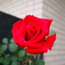 농업인상담소 옆 이미지