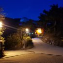 좌구산캠핑장 이미지