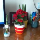 안방농장 이미지