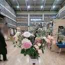 김해지혜의바다 이미지