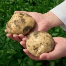 김제상회 이미지