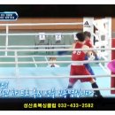 성산효권투체육관 이미지