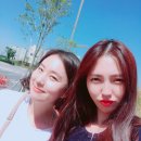 강정구의 피자생각 내포신도시점 이미지