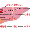 달콤사냥꾼 이미지