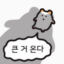 아이몽 애견 유치원 이미지