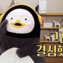 한라산게스트하우스 이미지