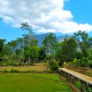 묵지농장 이미지