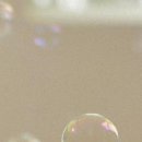 모모세탁 이미지