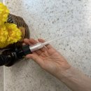 건강하게 마실 수 있는 엔칸토 검은콩차원액 후기