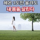 체온정