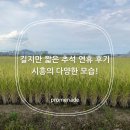 점핑클럽 시화MTV | 길지만 짧은 추석 연휴 후기, 시흥의 다양한 모습