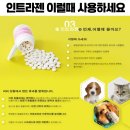 인트라젠 이미지