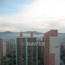 12.주공3단지 네이버블로그