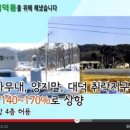 대덕2통 이미지