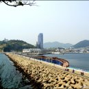 여수오동도 - 종로구 | 여수오동도